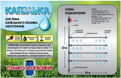 т
