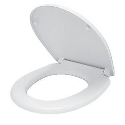1161