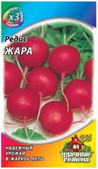 Снимок