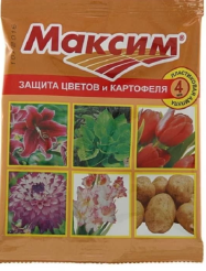 Снимок экрана 2025-03-15 104744