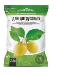 Снимок экрана 2024-03-06 094006