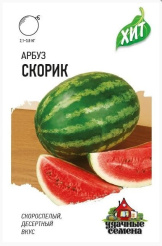 Снимок