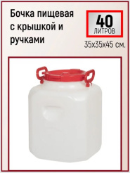 т13