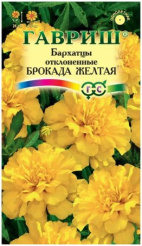 Снимок
