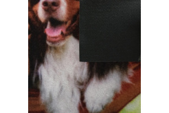 Ф3