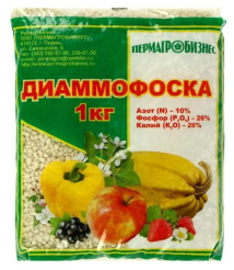 Снимок
