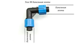 т55