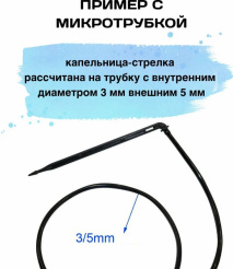т12