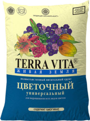 цвет