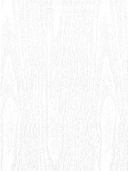 swx_73_beloe_derevo