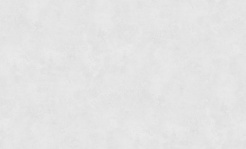 283737 (1)